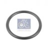 IVECO 17916385 Seal Ring